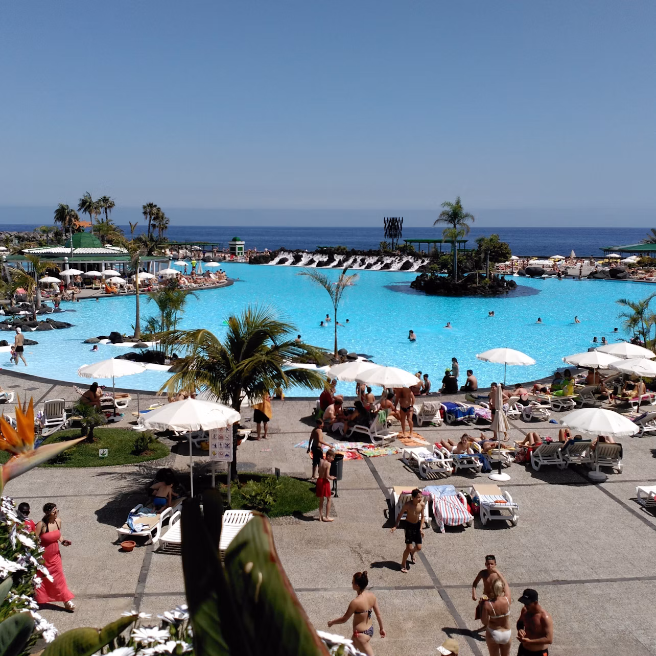 Main Pool