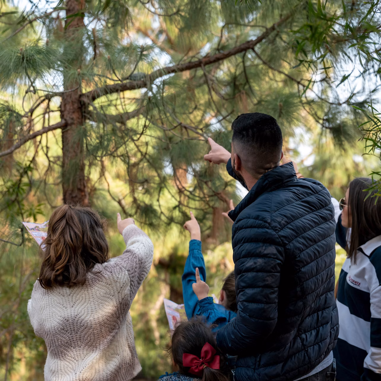 A group of people outdoors pointing towards treetops, with pine trees and green foliage in the background.
