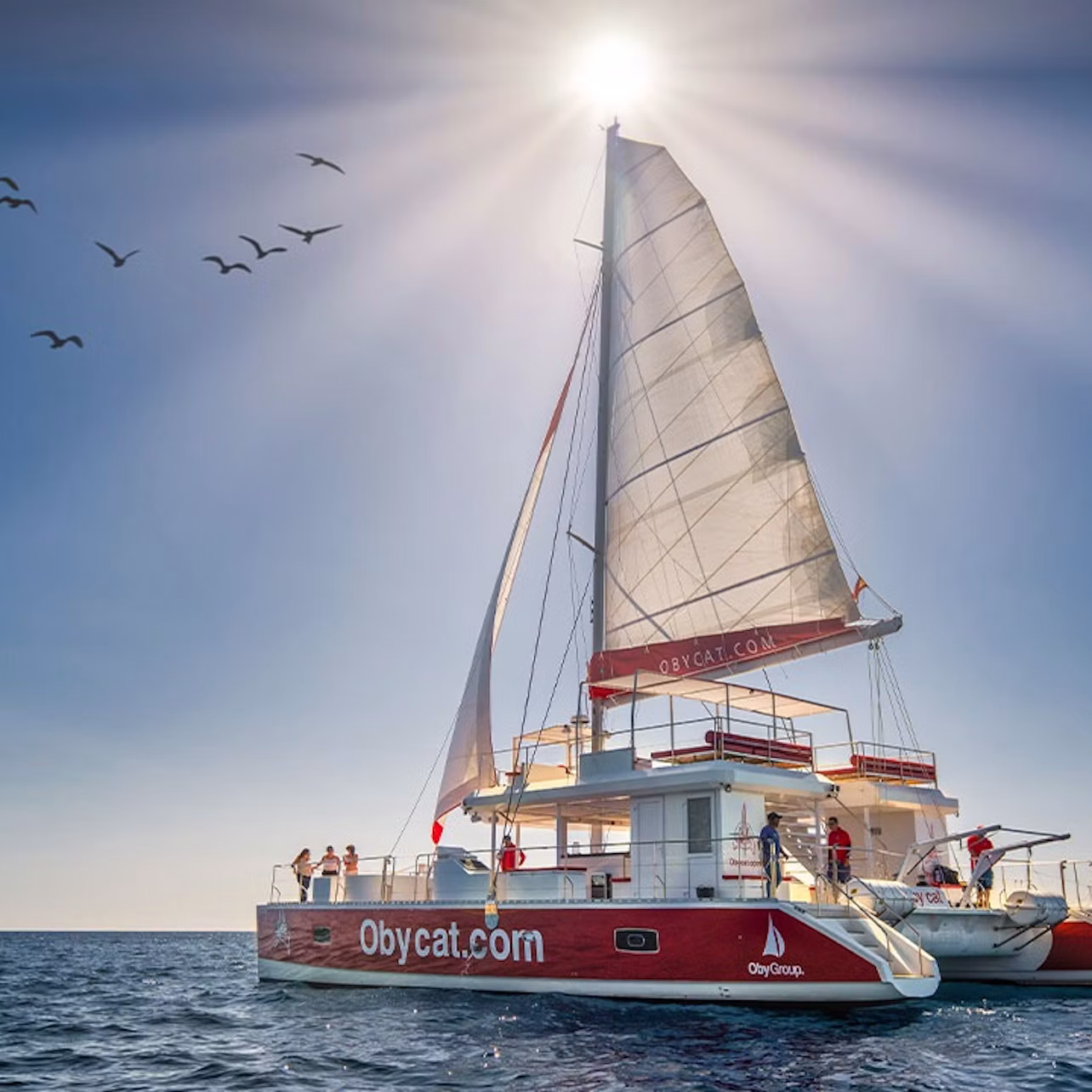 A red and white catamaran with people on board sails on calm water under a sunny sky, birds flying in the background.