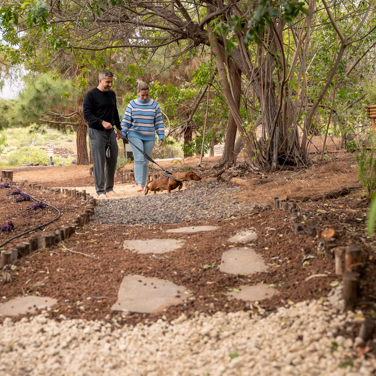 Two people walking a small dog on a leash along a tree-lined path in a garden setting.