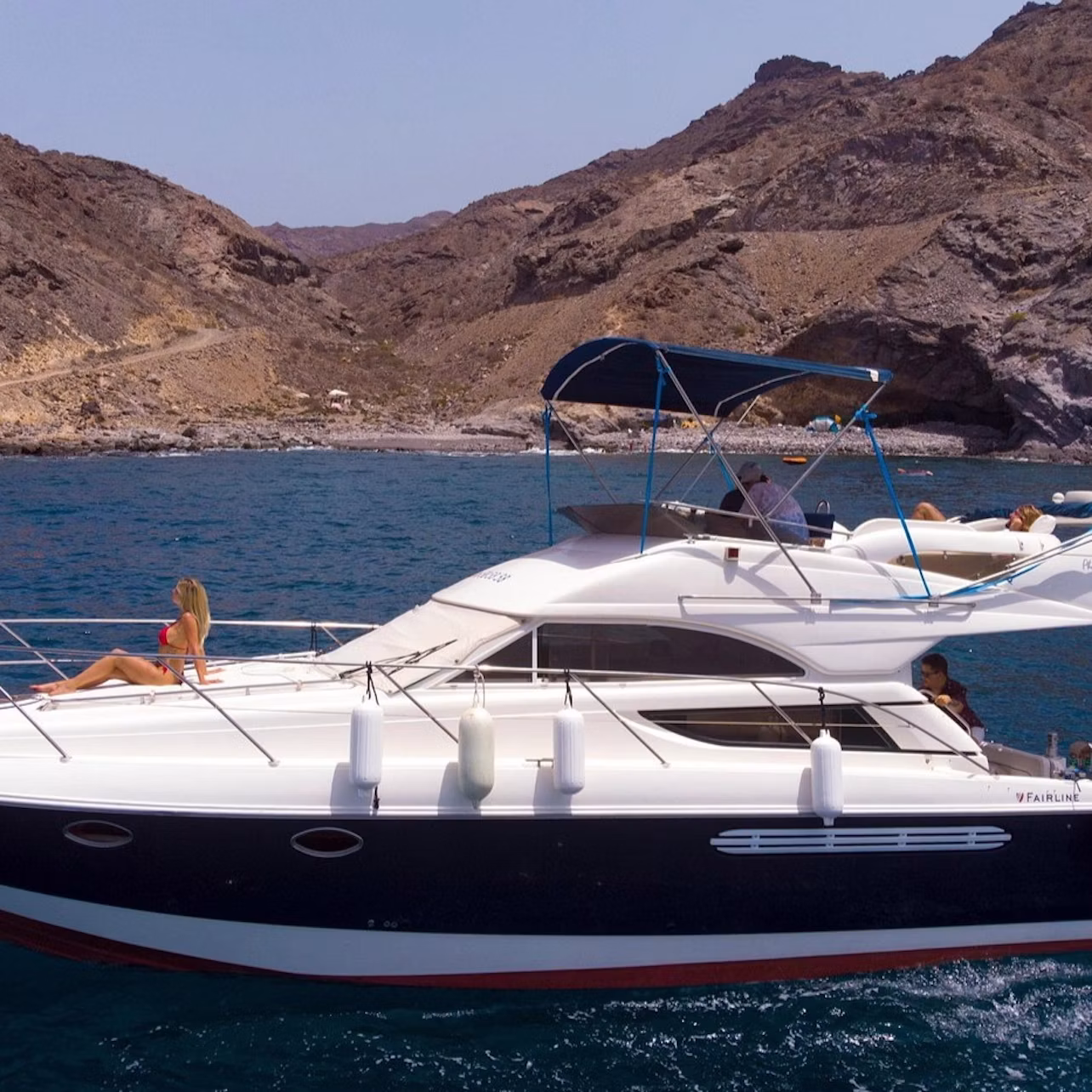Dolphins, Boat Trips, Keeper Uno Canary Islands