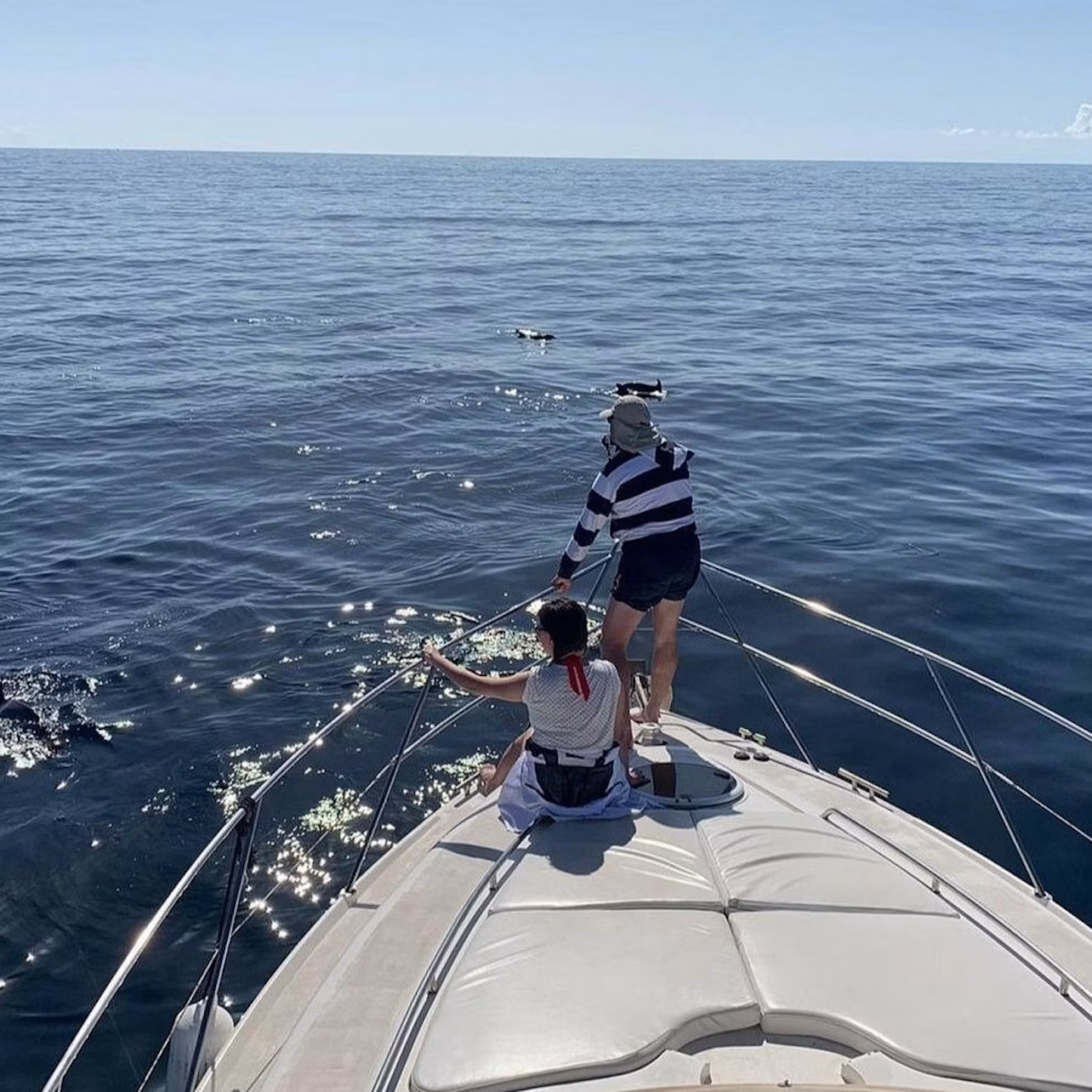 Dolphins, Boat Trips, Keeper Uno Canary Islands