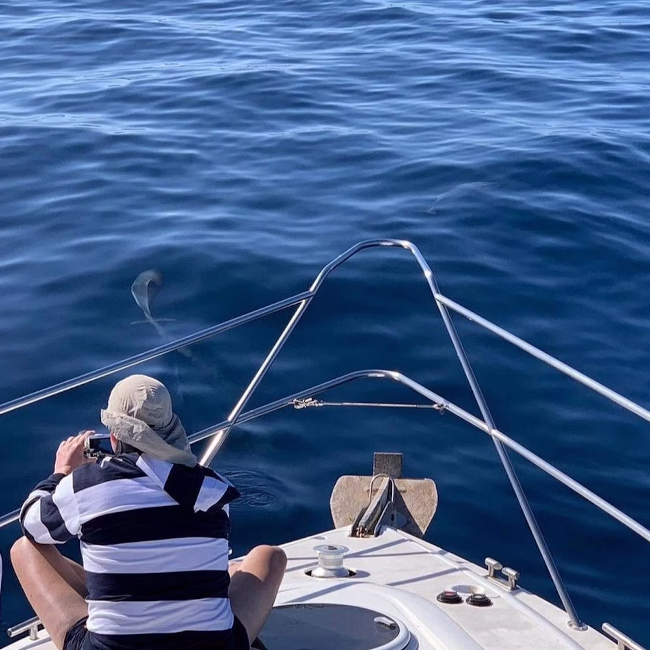 Dolphins, Boat Trips, Keeper Uno Canary Islands