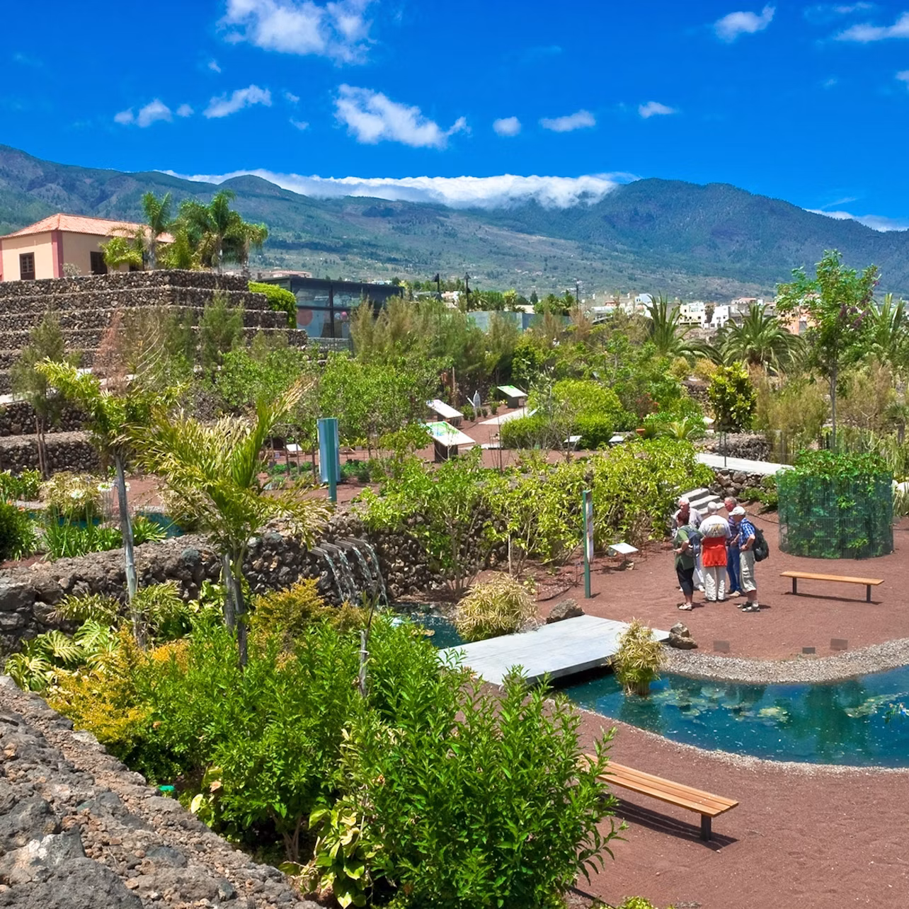 Garden view