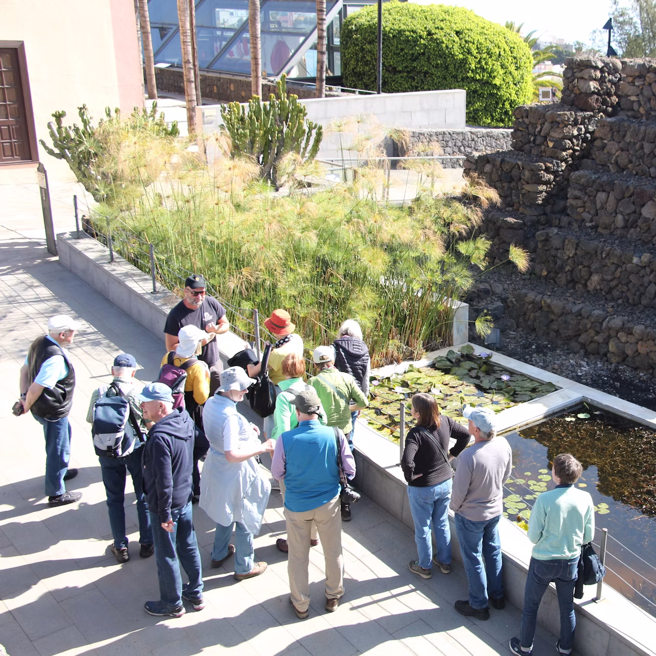 Guided tour of the Pyramids