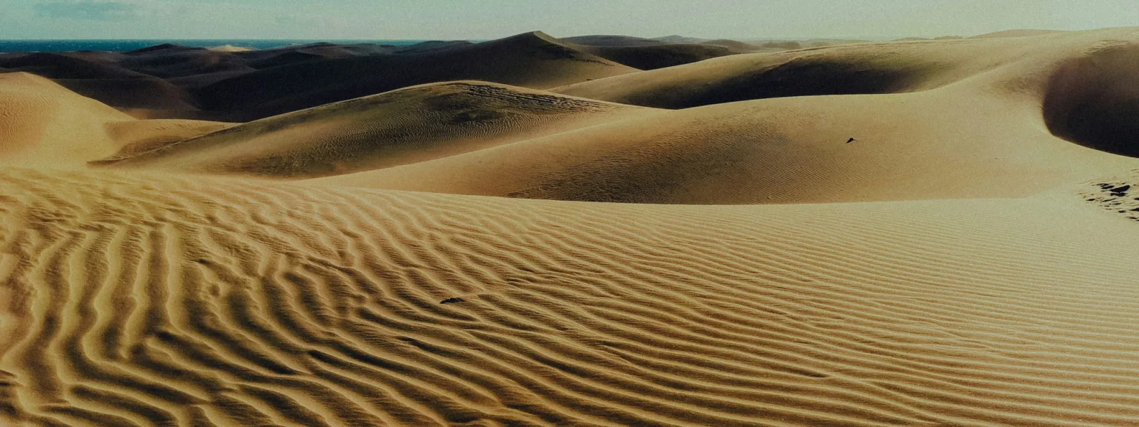Golden dunes in the Maspalomas reserve of southern Gran Canaria