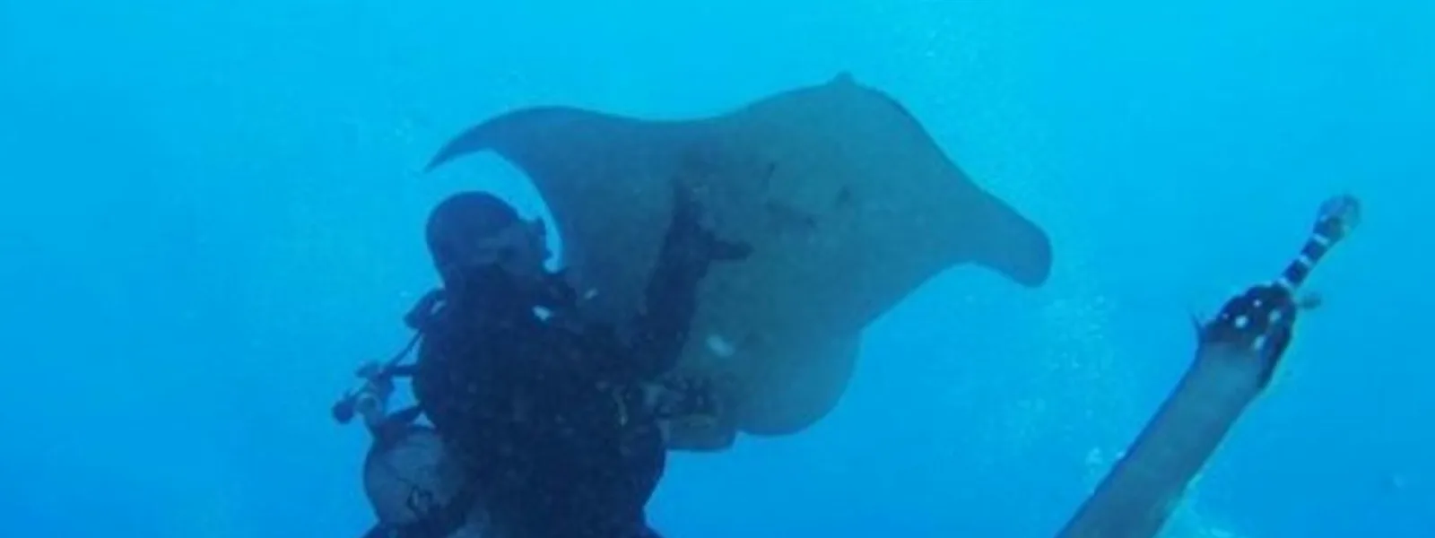 Beginner scuba diver underwater in Tenerife