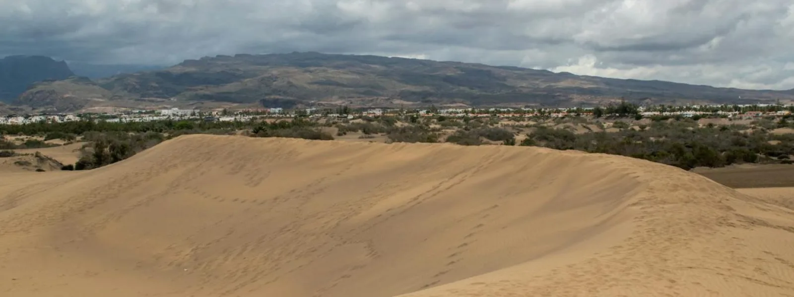 Maspalomas dunes landscape in Gran Canaria