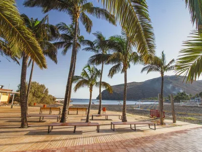 Spiaggia a La Gomera con palme, mare calmo e costa vulcanica
