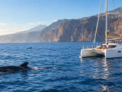 Private sailing charter watching pilot whales at a respectful distance off Tenerife with the Los Gigantes cliffs behind