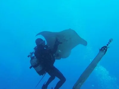 Débutant en plongée sous-marine à Tenerife