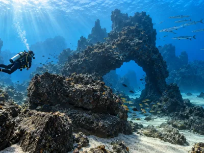 Scuba diver exploring a volcanic reef in the Canary Islands