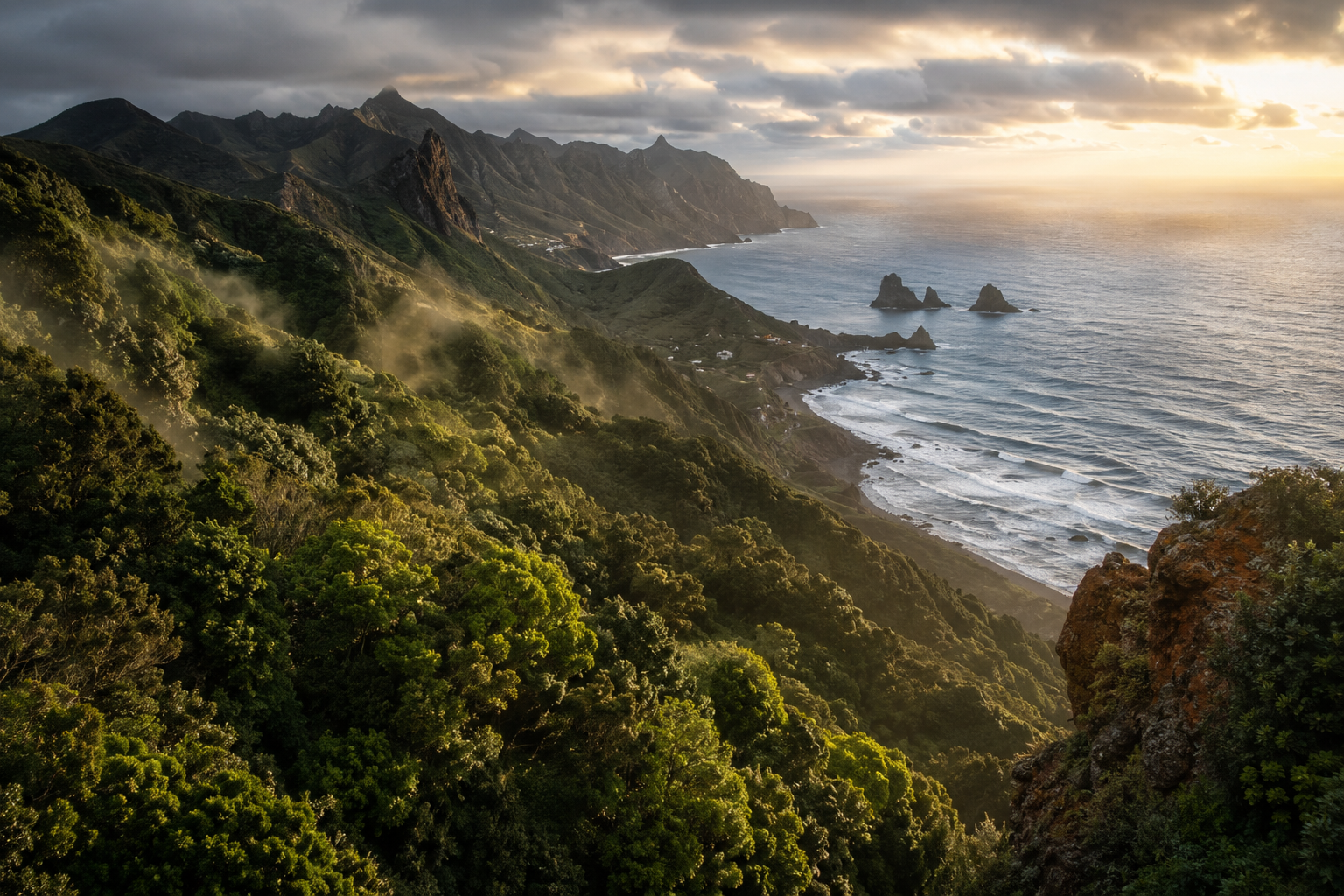 Misty laurel forest and rugged coastline in Anaga Rural Park, Tenerife