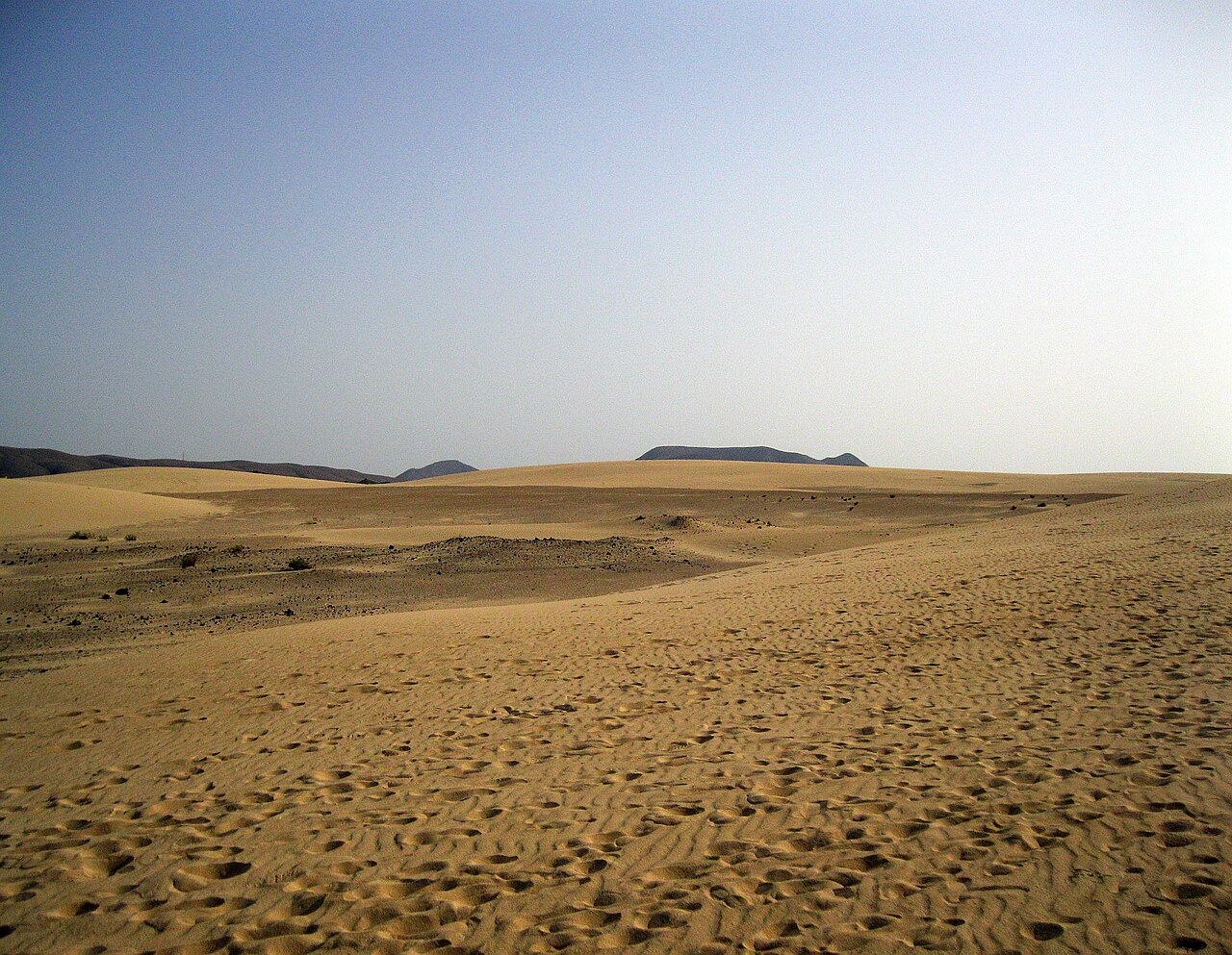 Paisaje de arena en el Parque Natural de Corralejo, cerca de las playas de Grandes Playas en Fuerteventura