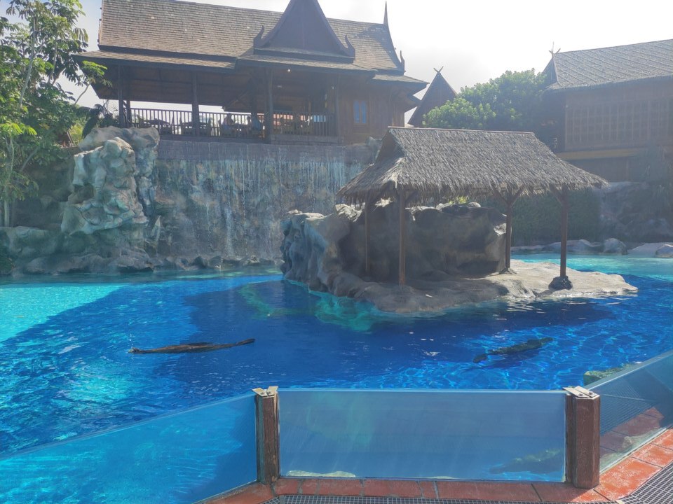 Photographie d'archive de jour à l'intérieur du parc aquatique Siam Park à Costa Adeje, Tenerife
